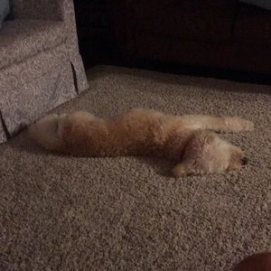 Meet your Posher, Anita